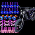 DevMoto Super 73 Titanium Bolt Kit showing assorted titanium bolts and screws on a white background.