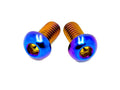 DevMoto Battery Lock Titanium Bolts set of 2 with sleek, durable design for secure motorcycle battery mounting.