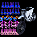 DevMoto Yozma Titanium Bolt Kit with multiple silver titanium bolts arranged for motorcycle repair or customization.