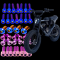DevMoto Mac Fox Titanium Bolt Kit featuring lightweight, durable titanium bolts for motorcycle upgrades and repairs.