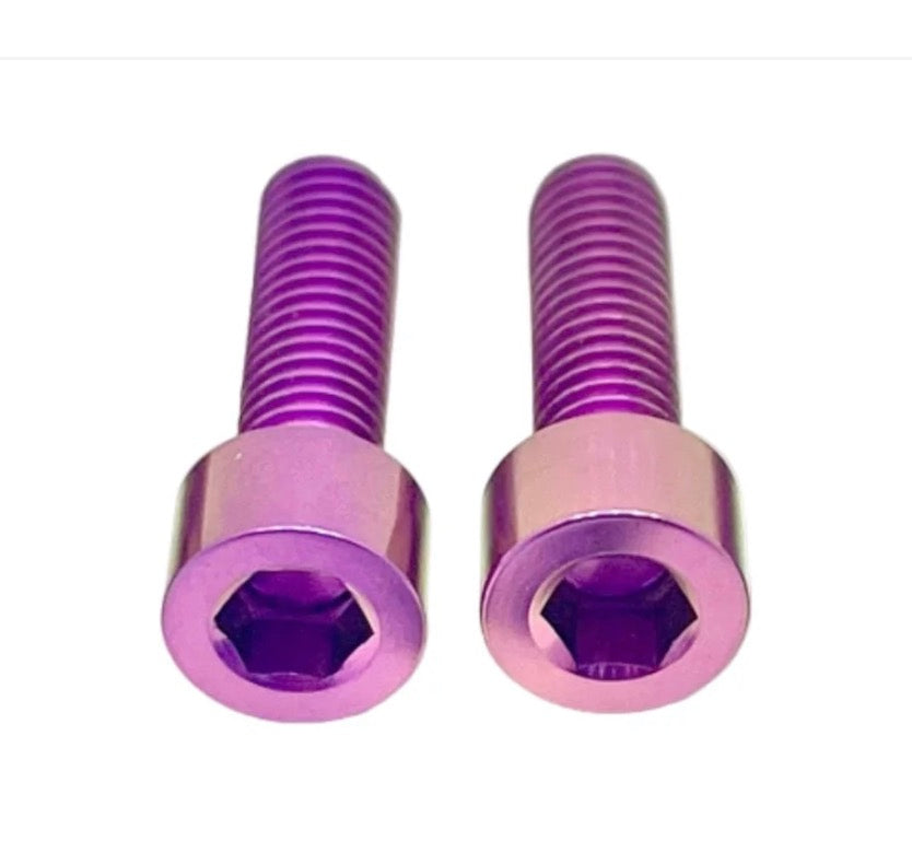 DevMoto Prickly S2 Mount Titanium Bolts, set of 2, showing shiny metallic bolts with textured heads for motorcycle mounting.