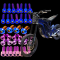 DevMoto Eride Pro S/SS/SR bolt kit with various bolts and fasteners, displayed on a clean background.