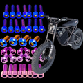 DevMoto Ridstar titanium bolt kit with multiple bolts and nuts, arranged on a white background for motorcycle or bike maintenance.